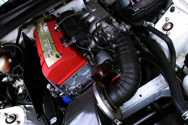 100705 s1 RIMG0785.jpg